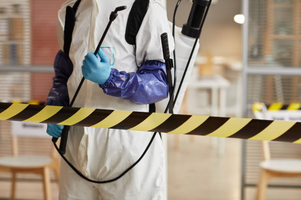 Professional Sewage Cleanup technician working in San Lorenzo, CA